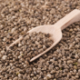 Hemp Seeds – A Breakthrough for Natural Protein?